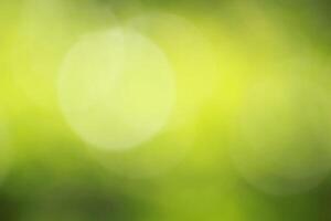 Abstract Green Bokeh. Minimalist Green Abstract photo