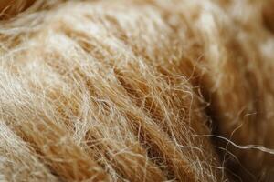 Close-up of soft fibers in natural light, showcasing intricate material details photo