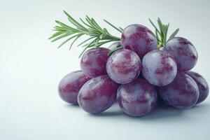 Fresh purple grapes clustered together with green rosemary on a simple light background photo