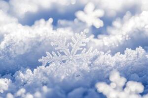 Snowflakes glisten in the sunlight on a winter morning in a serene snowy landscape photo