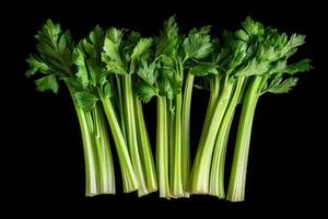Freshly harvested green celery stalks arranged on a black background in natural light photo