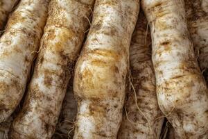 Freshly harvested parsnips showcasing earthy textures and organic shapes in a rustic setting photo