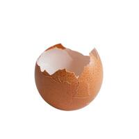 Broken egg shell fragments on a plain white surface photo