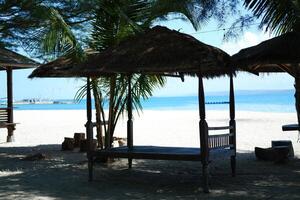Tranquil Escape by the Sea photo