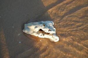 sea sand on the beach photo