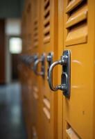 Gym Lockers in Sunlit Hallway photo