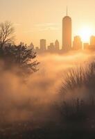 Morning fog in city park with skyline view of tall skyscraper through autumn trees photo