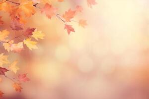 Autumn background and copy space. photo