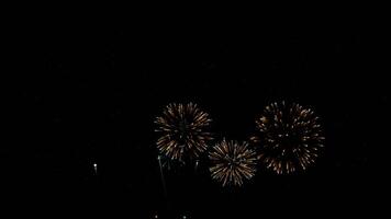 Multicolored Glitter Particle Firework Animation for Celebrations, Weddings, and Events in 4K video