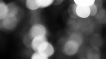 dark bokeh background video