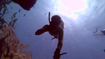 A man is swimming in the water with a spear video