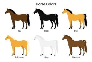 Set of different color flat horse colors vector