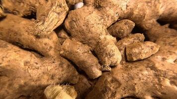 Ginger - Rotating Shot video