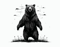 Black Bear Silhouettes Standing Poses Collection EPS vector