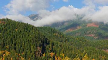 Aerial view of colourful forest on mountain slopes and cloudy sky. Canada video