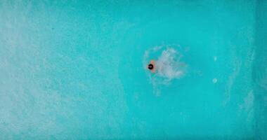 Aerial view as a man dives into the pool and swims. video