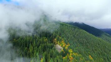 Aerial view of colourful forest on mountain slopes and cloudy sky. Canada video