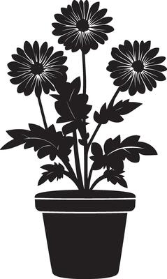Chrysanthemum flowers in pot clean simple icon silhouette black