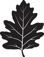 Oak leaf clean simple icon silhouette black vector