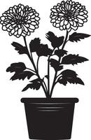 Chrysanthemum flowers in pot clean simple silhouette black vector