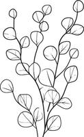 eucalyptus leaves with branches clean simple linear outline black vector
