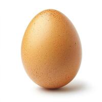 A brown chicken egg isolated on a white background. photo