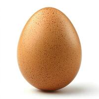A brown chicken egg isolated on a white background. photo