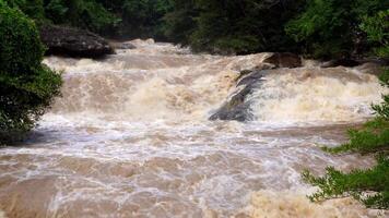 A strong current near a waterfall. Floods flowing in mountain rivers after heavy rains. Flash floods, the effects of global warming and the effects of deforestation. video