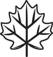 Maple leave clean simple icon outline black vector