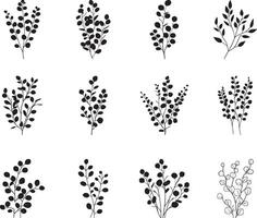 Collection of eucalyptus leaves with branches clean simple silhouette black vector