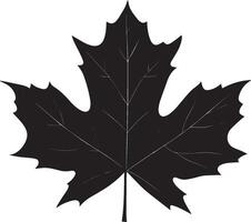 maple leave clean simple outline black vector