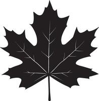 Maple leave clean simple icon silhouette black vector