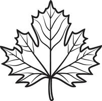 Maple leave clean simple icon outline black vector