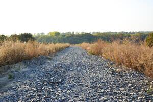 rubble road through the field. laying a new road, filled with gravel and crushed stone. rock gray crushed for construction on the ground. background. Gravel fragments. photo