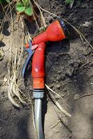 Hose with gun nozzle. Gardening tools. photo
