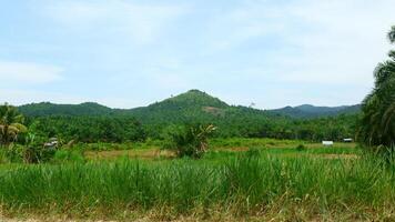 photography of mountain landscape with a clear sky background photo
