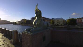 A sphinx statue on the Egyptian Bridge in Saint Petersburg during a stunning sunset. The warm hues of the setting sun cast a golden glow on the statue, while the calm river and historical buildings in video