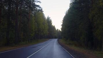 A peaceful autumn drive through a winding forest road, surrounded by vibrant fall foliage and tall pine trees. The wet asphalt reflects the overcast sky, creating a calm, tranquil atmosphere video
