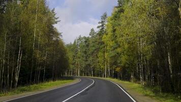 A peaceful autumn drive through a winding forest road, surrounded by vibrant fall foliage and tall pine trees. The wet asphalt reflects the overcast sky, creating a calm, tranquil atmosphere video