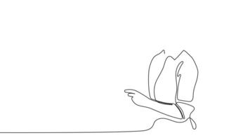 Animated drawing of continuous line draw architect meeting at construction site to talk blueprint design to team member. Building architecture concept. Single line animation. High quality 4k footage video