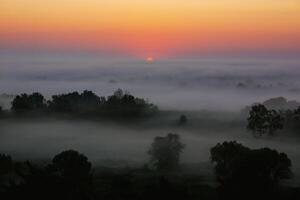 A morning landscape where trees and fields are engulfed in thick fog. The sun rises above the horizon, slightly breaking through the fog photo
