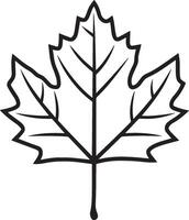 maple leave clean simple icon linear black vector