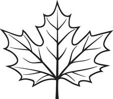 Maple leave clean simple linear outline black vector