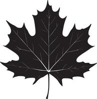 Maple leave clean simple silhouette black vector