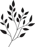 eucalyptus leaves with branches clean simple icon outline black vector