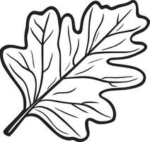 Oak leaf clean simple linear outline black vector
