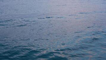Vibration Of Sea Water In The Evening video