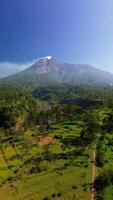 A very clear panoramic portrait of Mount Merapi with views of green trees and a small road in the foreground. 4k aerial footage of an active volcano clearly visible on a summer morning video
