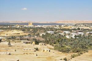 lanscape view of siwa egypt with date palm groves, oasis and vast desert from above the mountain of the dead at sunny day photo