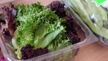 A colorful array of Fresh Green Lettuce and a variety of Crisp Salad Ingredients is presented video